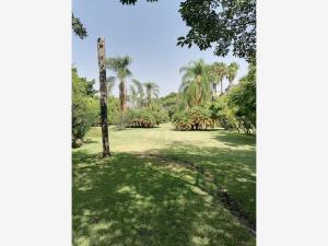 Quinta en renta en Rafael Merino (San Antonio), Ayala, Morelos