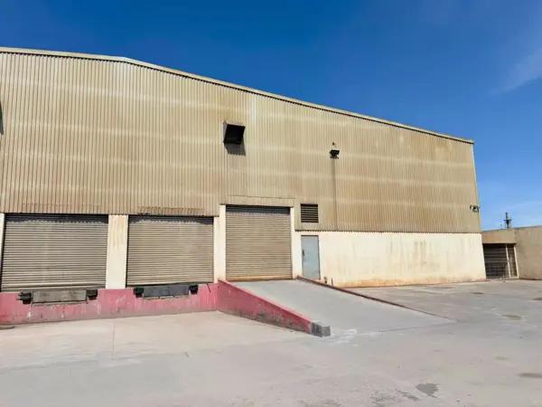 Bodega en Renta en Valle Los Pinos, Ramos Arizpe