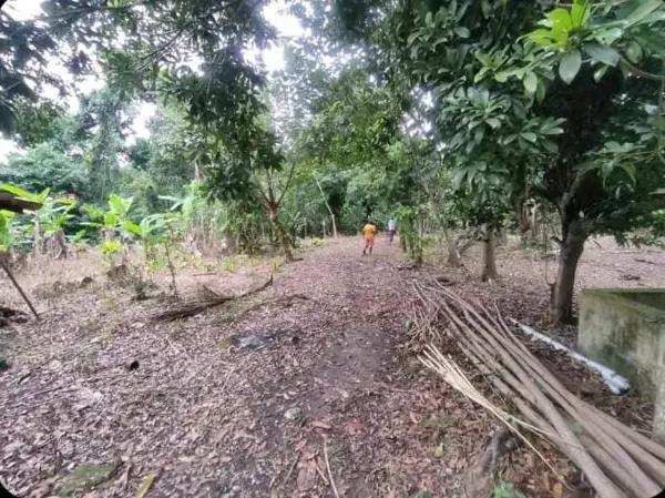 Terreno Comercial en Venta en Papantla, Veracruz - Ideal para Actividades Productivas