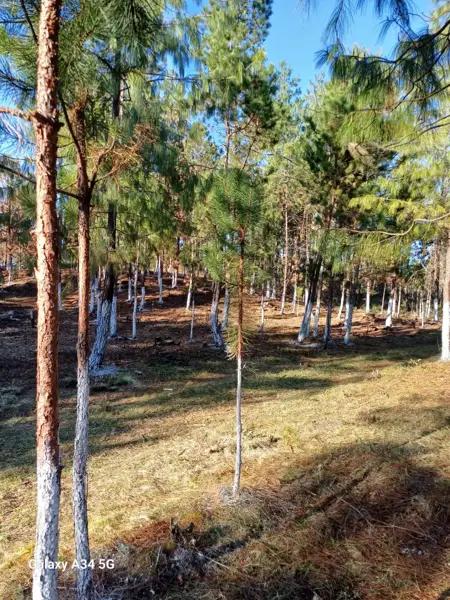 Terreno en venta en Las Lajas (Segunda Sección), Zacatlán, Puebla
