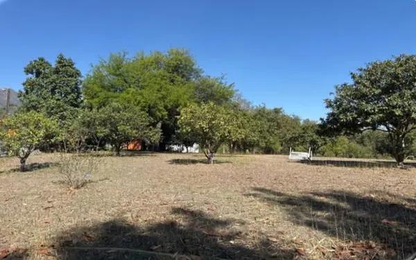 Quinta Campestre en Venta cerca de La Boca - 9,818m²