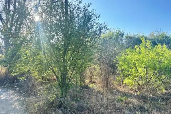 Terreno en VENTA en Carretera Antigua los Zertuche