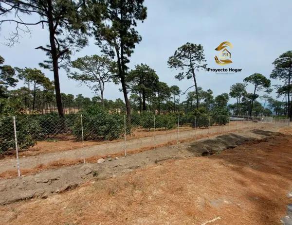 PARCELA EN VENTA EN SAN MARCOS, JALISCO PARCELA EN VENTA EN SAN MARCOS, JALISCO