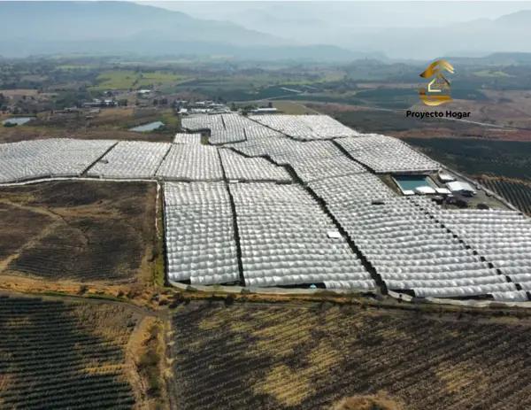 PARCELA EN VENTA EN SAN MARCOS, JALISCO PARCELA EN VENTA EN SAN MARCOS, JALISCO