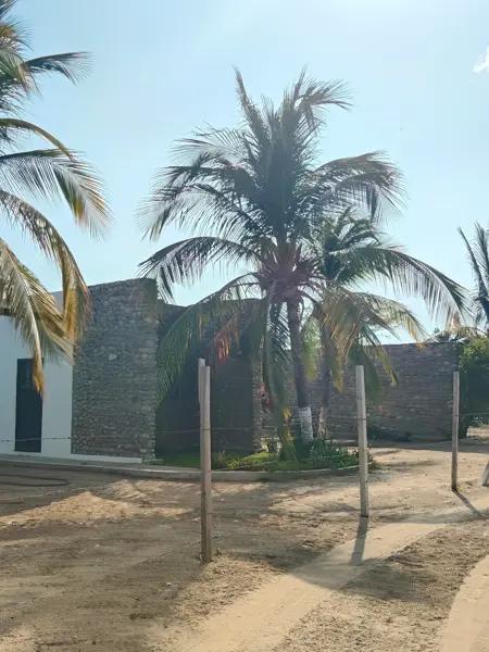 Terreno Residencial en Venta con Vista al Mar en Bajos de Chila, Oaxaca