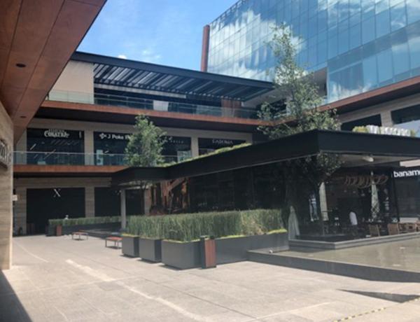 Local Comercial en Renta en Vasconcelos en San Pedro Garza García