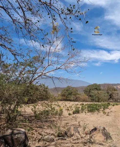 PACELA EN VENTA EN COMALA, COLIMA