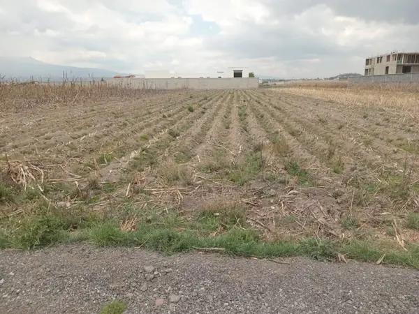 Terreno