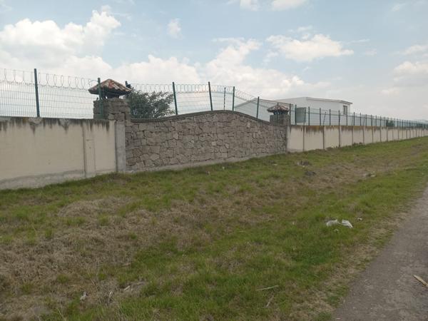 Terreno Terreno