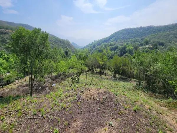 TERRENO CAMPESTRE EN VENTA CONGREGACIÓN EL RANCHITO ZONA CARRETERA NACIONAL SANTIAGO