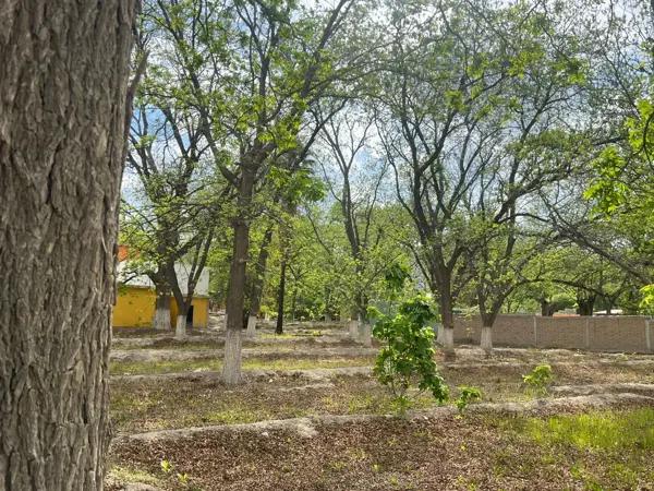 TERRENO EN VENTA, PARRAS DE LA FUENTE COAHUILA