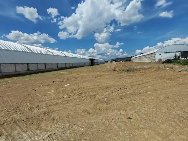 Terreno en renta en Santa Maria Acuexcomac, San Pedro Cholula, Puebla Terreno en renta en Santa Maria Acuexcomac, San Pedro Cholula, Puebla