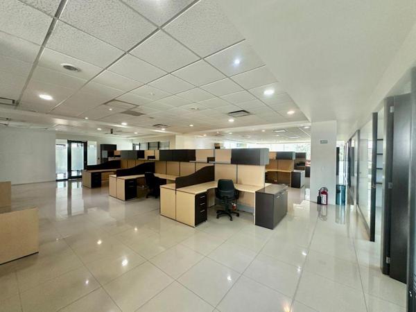 OFICINAS EN RENTA EN LOMAS DEL RÍO