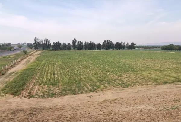 Terreno en Venta Sobre Carretera 45 Norte Pabellón de Arteaga,  Aguascalientes