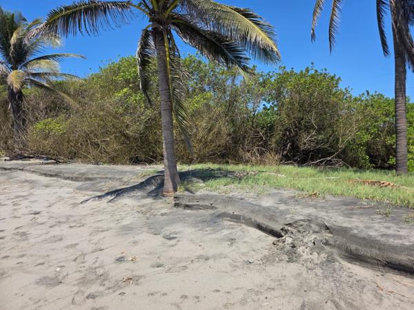 TERRENO EN PLAYA FRENTE AL MAR EN LÁZARO CÁRDENAS
