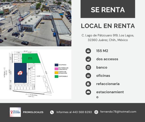 ¿Tu negocio está en el lugar correcto o solo estás "sobreviviendo"?