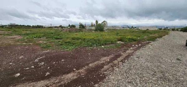 Tereno  sobre la carretera Actopan -Pachuca