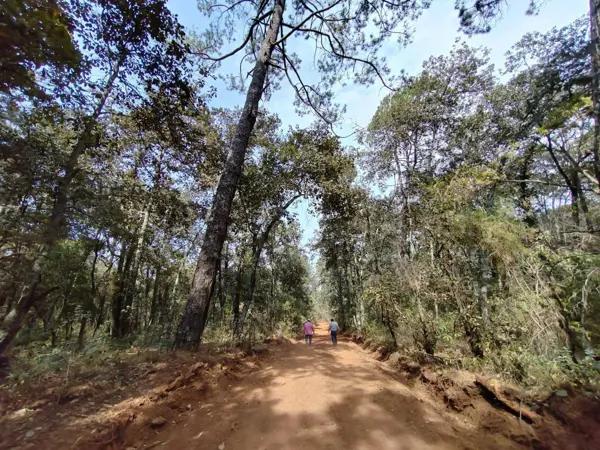 Terreno en venta de 37,314 m2 en Huasca de Ocampo, Hidalgo
