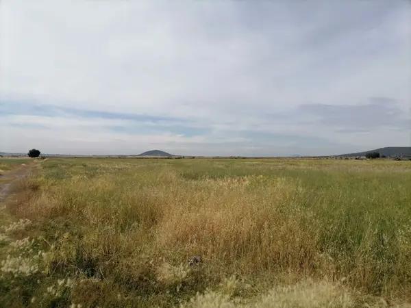 Terreno en venta de 98,390 m2, Tolcayuca, Hidalgo