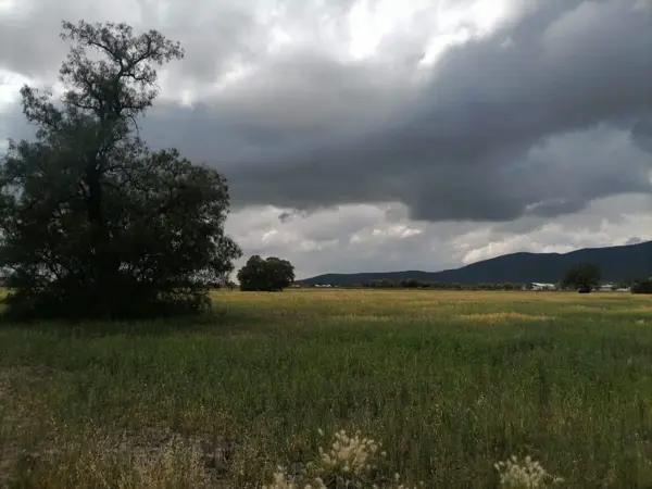 Terreno en venta de 40,000 m2, Tolcayuca, Hidalgo