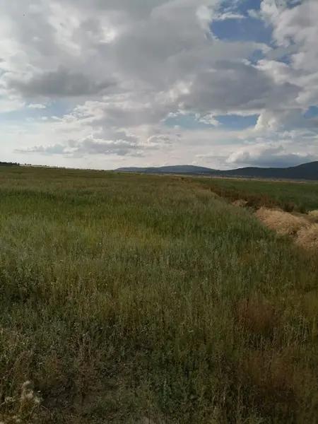 Terreno en venta de 37,334 m2, Tolcayuca, Hidalgo