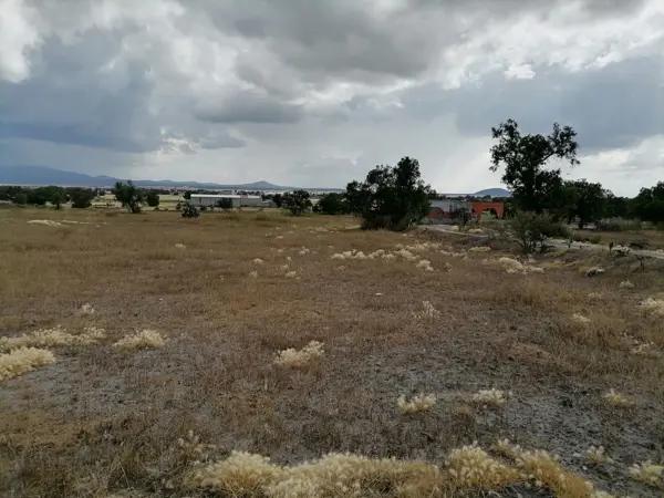 Terreno en venta de 5,000 m2, Tolcayuca, Hidalgo