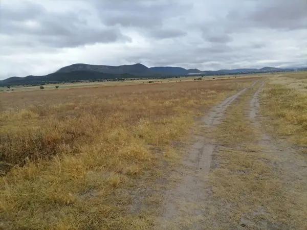Terreno en venta de 23,000 m2, Tolcayuca, Hidalgo