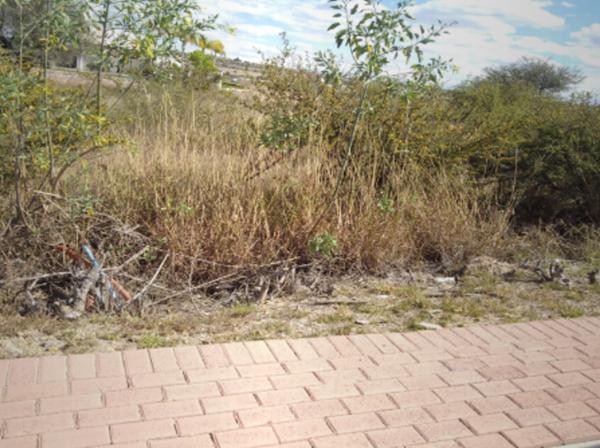 TERRENO DE ENTREGA INMEDIATA EN VIALIDAD A, APASEO EL GRANDE TERRENO DE ENTREGA INMEDIATA EN VIALIDAD A, APASEO EL GRANDE