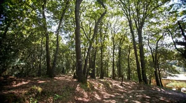 SE VENDE TERRENO EN JILOTZINGO