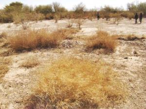 Terreno en venta en El Cambio, Matamoros, Coahuila de Zaragoza