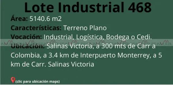 Salinas Victoria