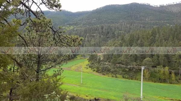 Bosques de Monterreal Bosques de Monterreal
