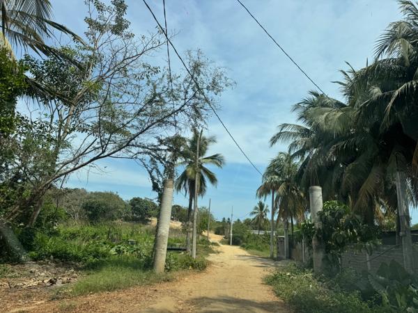 TERRENO A 5 MINUTOS DE PLAYA AZUL EN ACALPICAN DE MORELOS, LZC