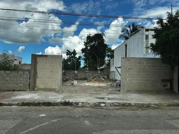 Terreno en renta en colonia san pedro cholul Terreno en renta en colonia san pedro cholul