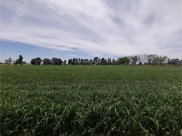 Terreno en Venta Pabellon de Arteaga Aguascalientes