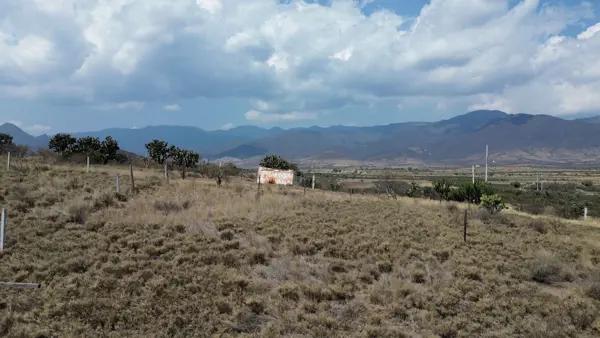 ESTRATEGIA Y AMPLITUD EN EL VALLE DE TLACOLULA