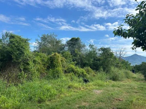 Terreno Residencial en Venta, Huajuquito, Santiago, Nuevo León