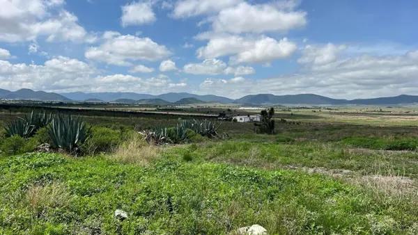 Terreno Campestre en Venta, San Antonio de las Alazanas, Arteaga, Coahuila Terreno Campestre en Venta, San Antonio de las Alazanas, Arteaga, Coahuila