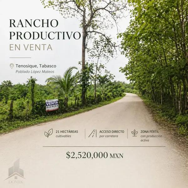 VENTA DE RANCHO EN TENOSIQUE TABASCO