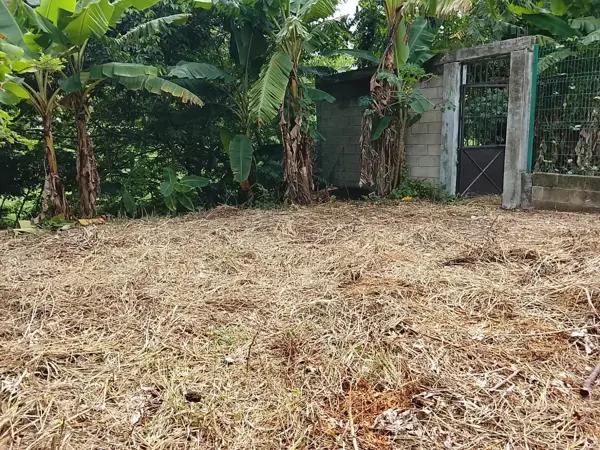Terreno residencial en venta en El Cedro, Nacajuca, Tabasco con barda perimetral