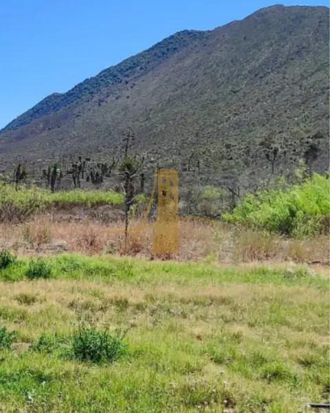 Rancho en Venta en Ramos Arizpe,  con Agua, Huerto y Casa de Campo