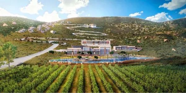 Terreno en venta en Arteaga en Coahuila
