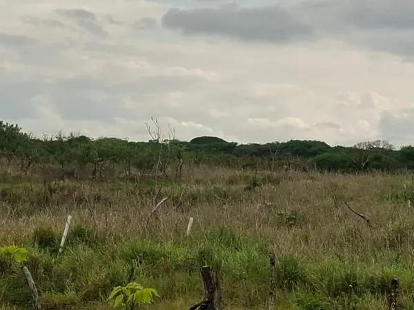 Terreno en Venta en Anton Lizardo, Veracruz de Ignacio de la Llave - Inversión Ideal