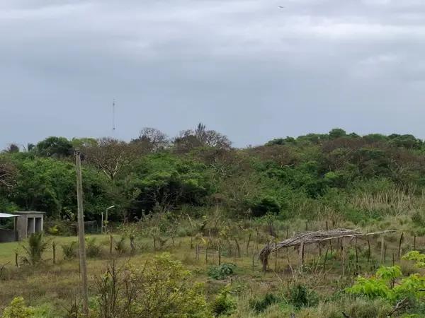 Terreno en Venta en Anton Lizardo, Alvarado, Veracruz