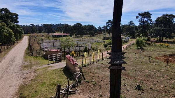 Casa de Campo en Juanacatlán, Tapalpa - 3,000 m² de Terreno en Venta