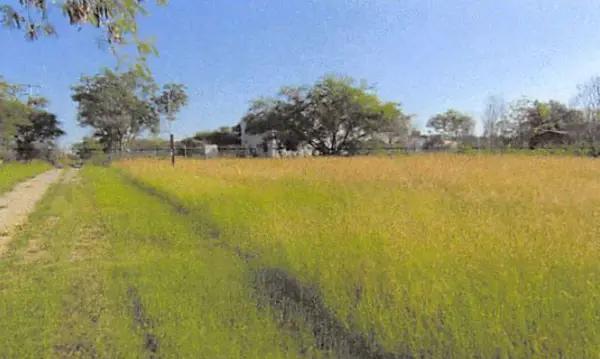 Terreno en Venta en Las Trancas en Cadereyta