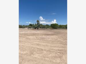 Terreno en venta en Ciudad Juárez, Lerdo, Durango