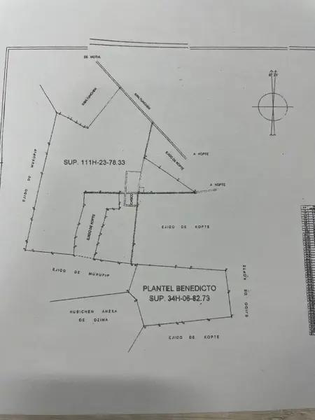 Terreno en Venta, en Motul, Yucatán