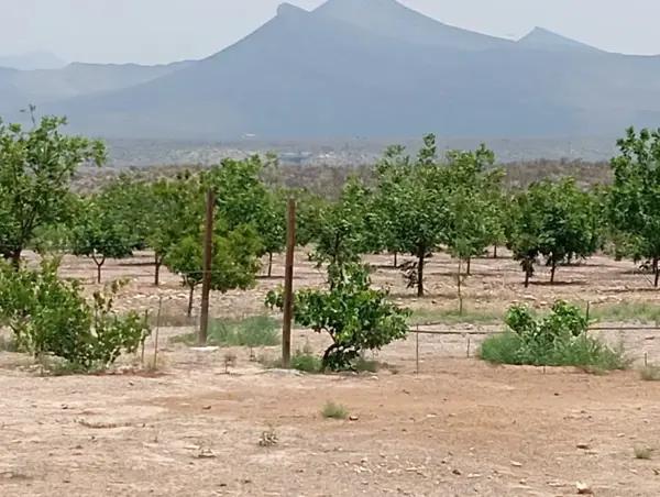 Terrenos Campestres en Venta
Ubicación: A 30 minutos de la entrada de Ramos Arizpe