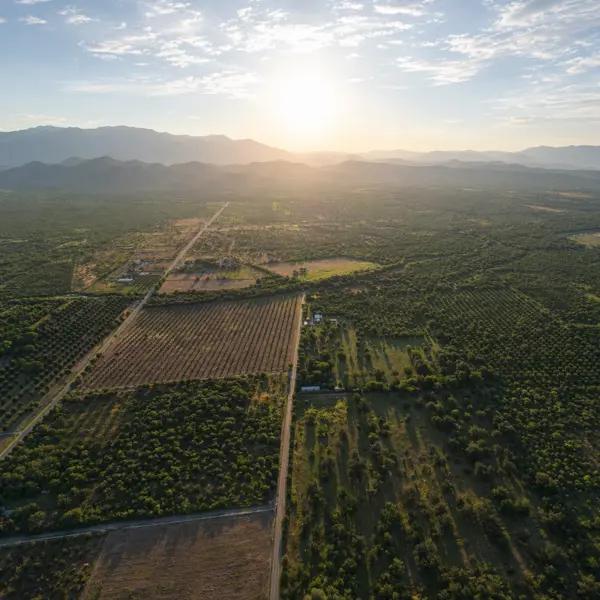 Rancho Nogalero en Venta en Bustamante, N.L. | 38 Hectáreas Equipadas